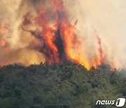 충남산불 피해액 325억…충남도, 주택 신축비용 정부지원 확대 요청