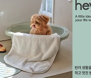 핏펫, 펫테리어 브랜드 '헤이테일(heytail)' 신규 론칭