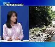 [대담] 논란의 ‘제주 하천 정비 사업’…문제와 대안은?