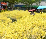 울산 대체로 맑음…낮 최고 20도