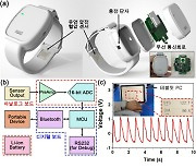 KAIST, 高민감 웨어러블 혈압센서 개발