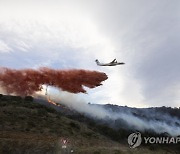 France Forest Fire