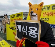 개식용 금지 퍼포먼스