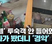 방값 밀린 수상한 투숙객들, 문 열었다 자지러진 주인 [제보영상]