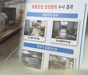 개·고양이 1,200여 마리 굶겨 죽인 60대에 징역형 구형