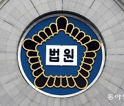 로드킬 강아지 수습하다 다리 절단…‘의상자’ 인정될까?