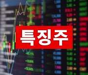 [특징주] 토비스, 세계 최초 2차전지 핵심 소재 스웰링테이프 개발 성공↑