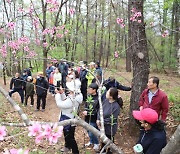 영월읍 하송리 '소담도시숲' 인기… 꽃향기 따라 3.6㎞ 걷기코스 호평