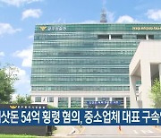 회삿돈 54억 횡령 혐의, 중소업체 대표 구속영장