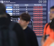 Flights to and from Jeju Airport canceled due to strong winds