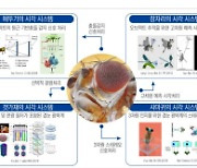 지스트, 곤충 겹눈 모방한 반도체 개발 추진