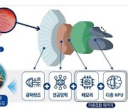 광주과학기술원, ‘곤충견눈 모방 반도체’ 연구기관 선정