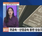 [하우머니] '에코거지' 눈물 닦아줄 ETF, OOO에 답 있다?