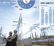 [단독] '원가이하 전기 공급'에 美 3년만에 태세전환···통상문제로 번질 판