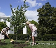 US Jill Biden Japan