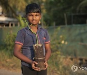 Climate India Mangrove Man