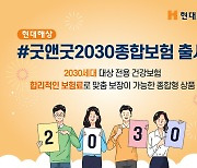 현대해상, 2030 특화보험 출시…핵심보장 위주 가입