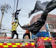 강풍에 날아온 천막이 전신주 칭칭