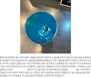 "콜라에 바퀴벌레가"...롯데리아 경기도 지점 영업정지 5일