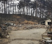 '본인 집 타고 있지만' 보기만 한 산불진화대원…"진화위해 이동"