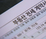 [YTN24] 전세사기 피해 일파만파...'경매 중단' 실효성은?