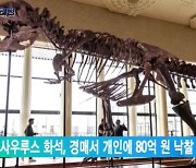 티라노사우루스 화석, 경매서 개인에 80억 원 낙찰