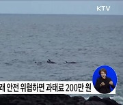 선박 관광 시 돌고래 안전 위협하면 200만 원 이하 과태료 부과