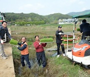 울산 첫 모내기