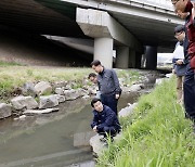 송파구, 장지천 벚꽃길 수변명소로 조성…30억원 투입