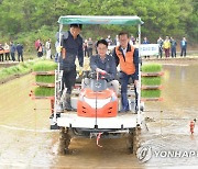 울주군 '풍년 기원' 올해 첫 모내기…두서면 전읍리 농가