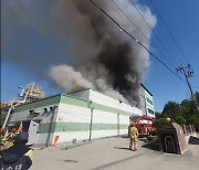 충남 아산 제약공장서 불…근로자 36명 대피