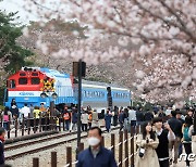 "외국인 39만명왔다는 지역 축제, 실제론 5000명?"…관광객 부풀리기 만연