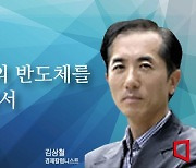 [논단]제2의 반도체를 찾아서