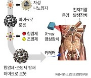 몸에 로봇 넣어 병 치료… 年 17% 급성장하는 시장