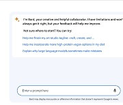 공개 때부터 망신 당했던 구글 바드, 직접 써보니