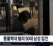 동물학대 혐의 50대 남성 입건