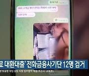 ‘저금리로 대환대출’ 전화금융사기단 12명 검거