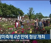 삼척 장미축제 4년 만에 정상 개최