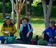 '곡성 29.9도' 광주·전남 초여름, 올 들어 가장 더웠다