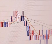 행동주의 펀드 눈치보기?…올해 '자사주 소각' 2배 급증