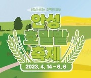 농협안성팜랜드, 호밀밭＆유채꽃 축제 개최