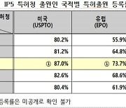 우리 기업 해외 특허 등록률 세계 최고, 양과 질 ‘두마리 토끼’ 잡았다