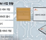 SK하이닉스, D램 칩 12개 쌓았다···"AI 챗봇 수요 맞춰 하반기 공급"