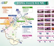 충북도 "수소특화단지 지정 도전"…기업·지원시설 집적