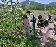 무주군 "사과 꽃향기 맡으며 아름다운 추억 만드세요"