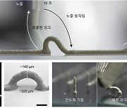 내 몸에 딱 맞는 스킨 일렉트로닉스 만드는 3D 프린팅 기술 나왔다