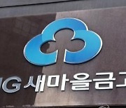 부동산 PF 부실 대비…새마을금고 대주단 자율협약 가동