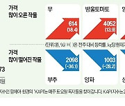 농산물값 안정세에도…무·당근은 겨울한파 여파로 '껑충'