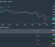 [베트남증시 21일 마감시황] VN지수 6.34p(0.60%) 하락 1,042.91 '금융주-부동산주-에너지주 대부분 약세로 하락 마감'