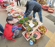 ‘초록빛 보약’ 제철 미나리…보랏빛 밑동 보일 때가 ‘제맛’[지극히 味적인 시장]